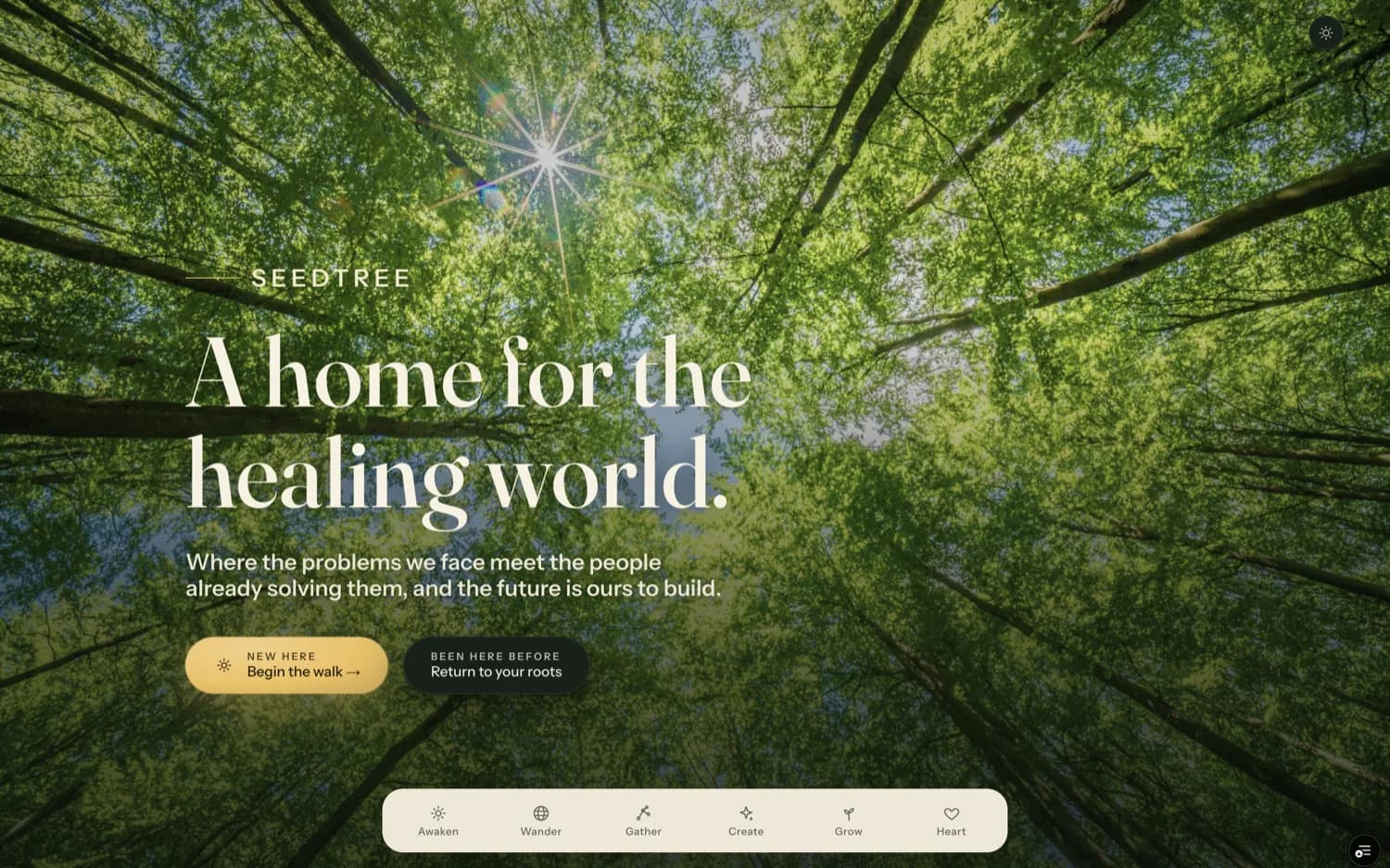 The SeedTree landing page, a home for the healing world.