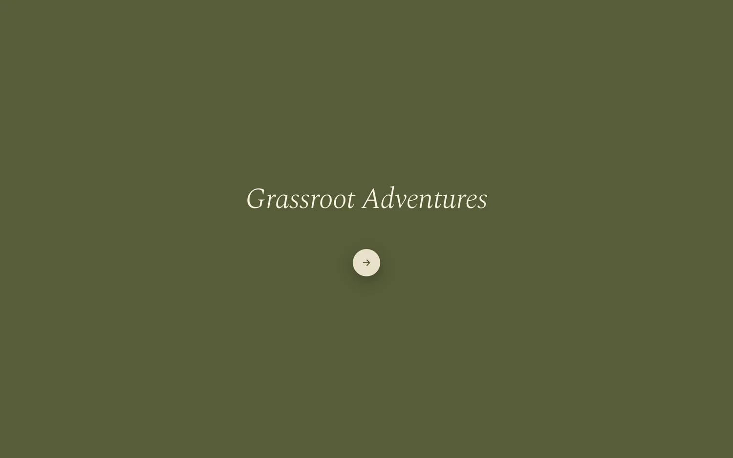 The Adventure trips planner: led adventures and open meetups in olive on sand.