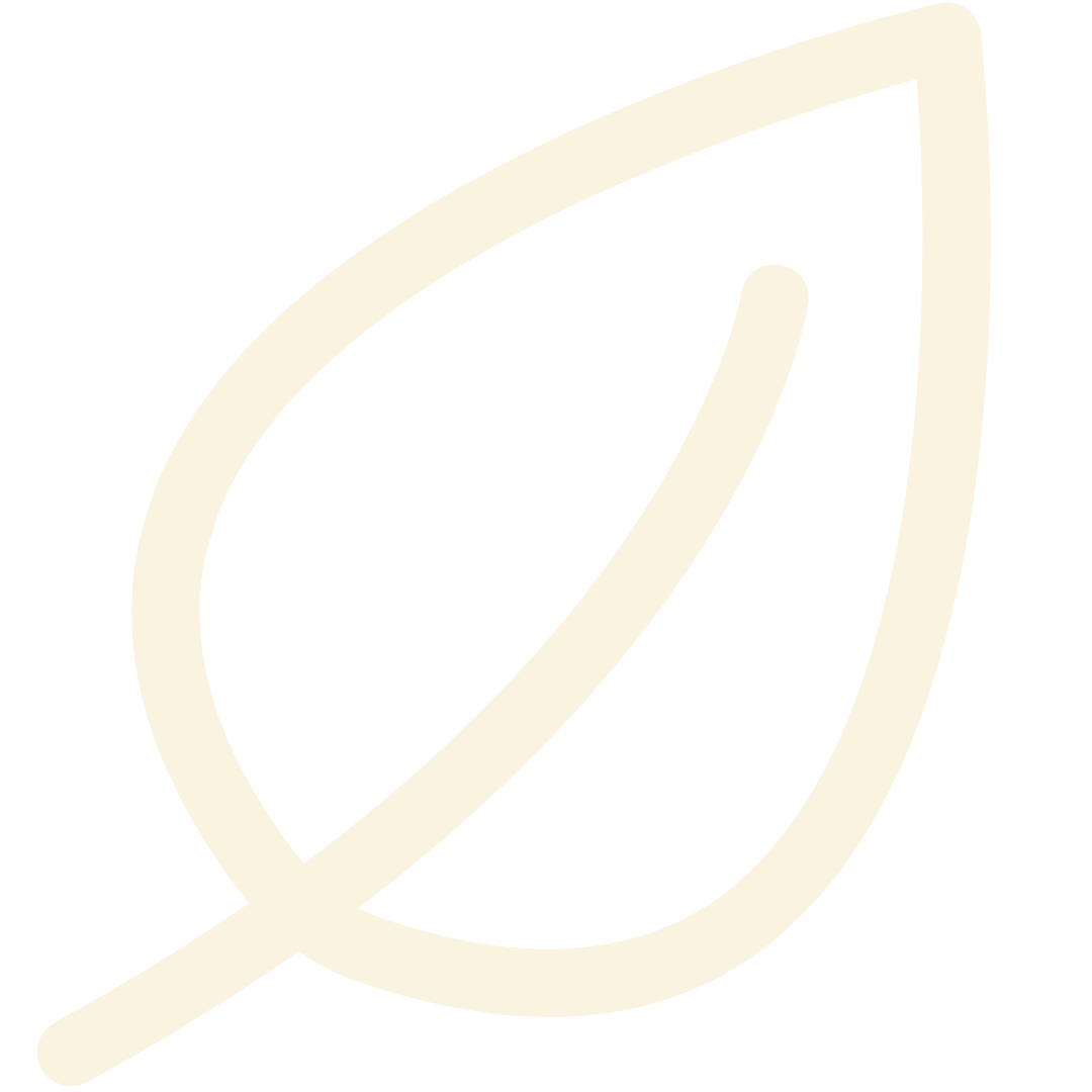 Ecodia